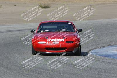 media/Nov-04-2023-CalClub SCCA (Sat) [[cb7353a443]]/Group 1/Cotton Corners (Race)/